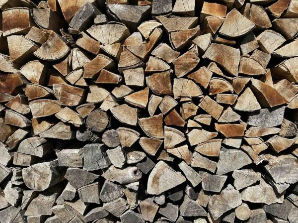 Firewood