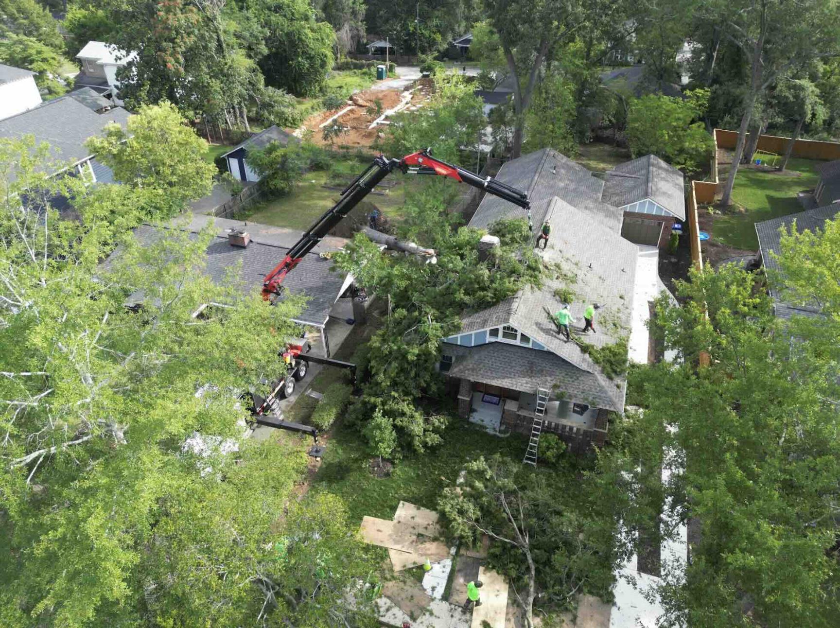Emergency Tree Removal Job