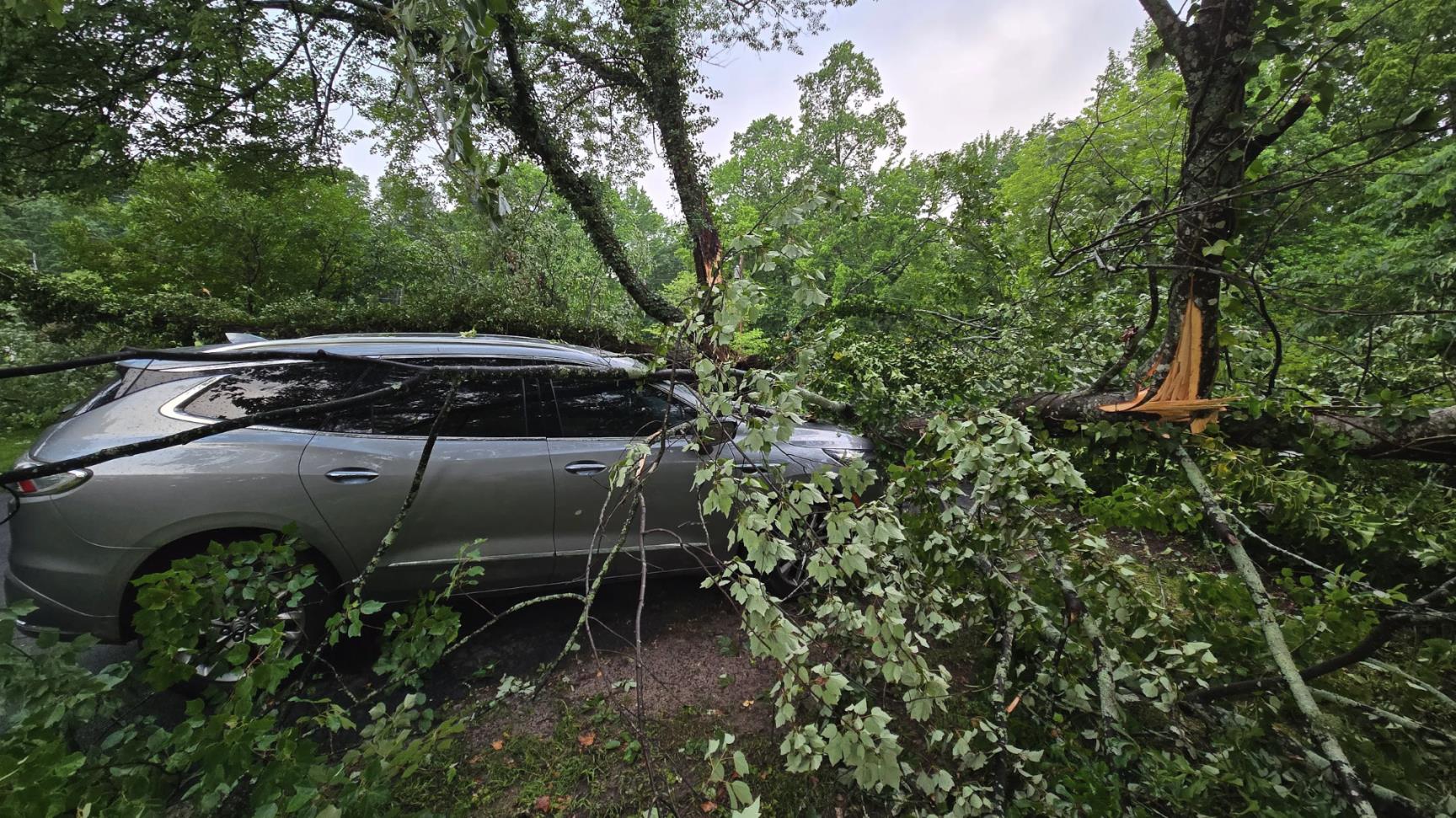 Storm Damage to Car