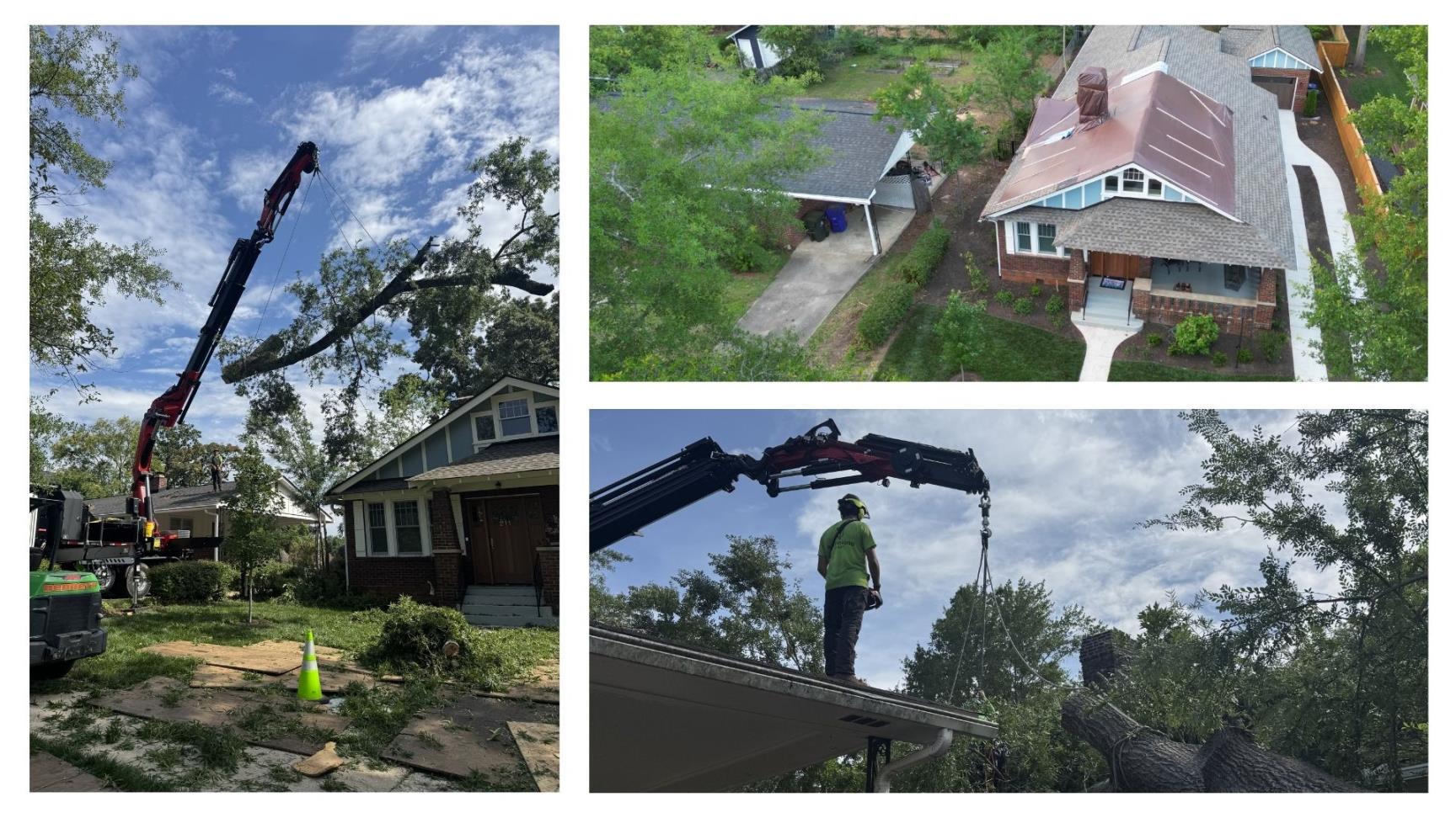 Emergency Tree Removal Greenville Tree Co