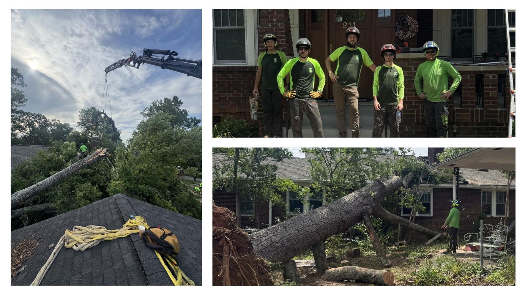 Emergency Tree Removal Greenville Tree Co