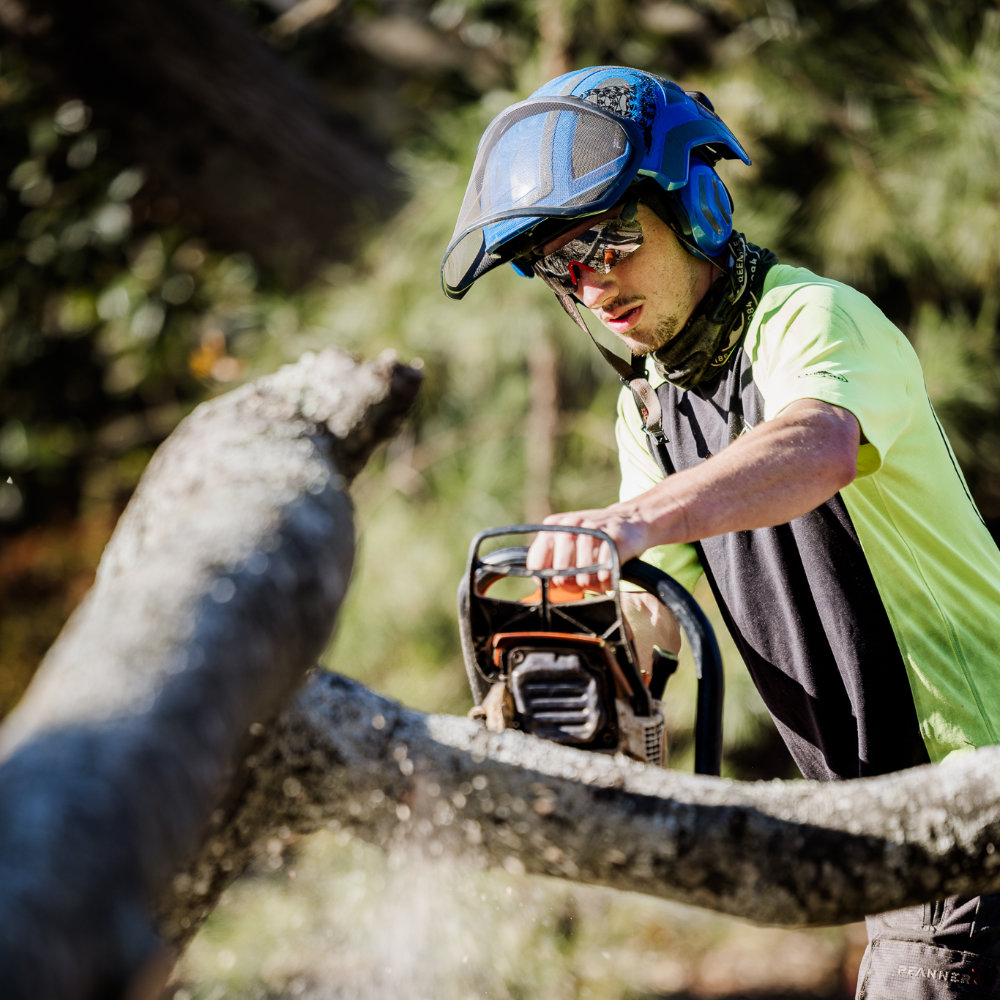 Greenville Tree Co Crew