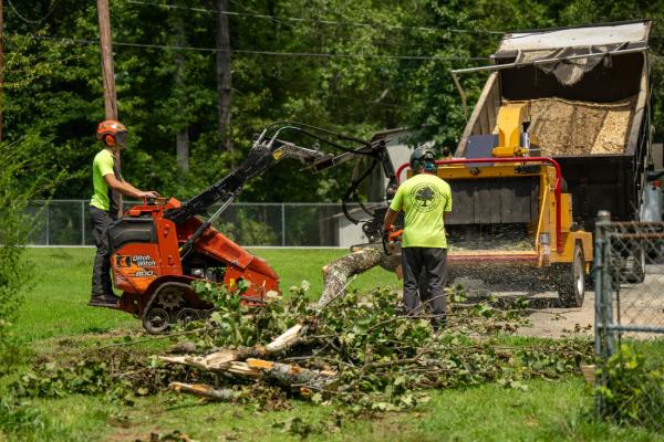 Tree Cleanup Greenville Tree Co.