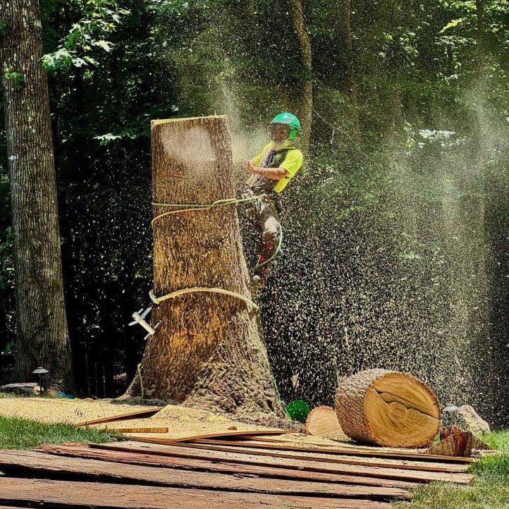 Tree Cutting Greenville Tree Co