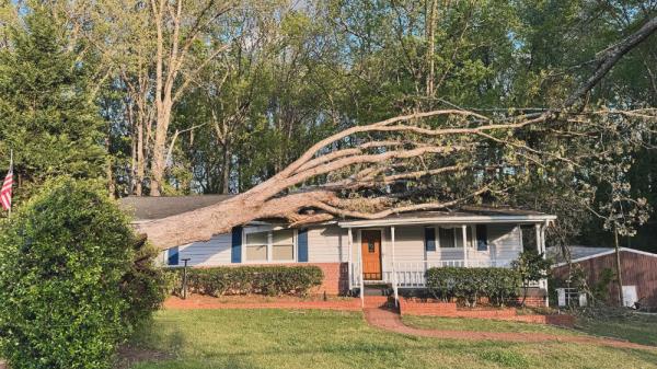 Tree Fallen on House